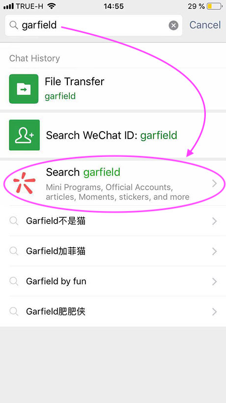 when searching from the WeChat Home screen | wechat search function
